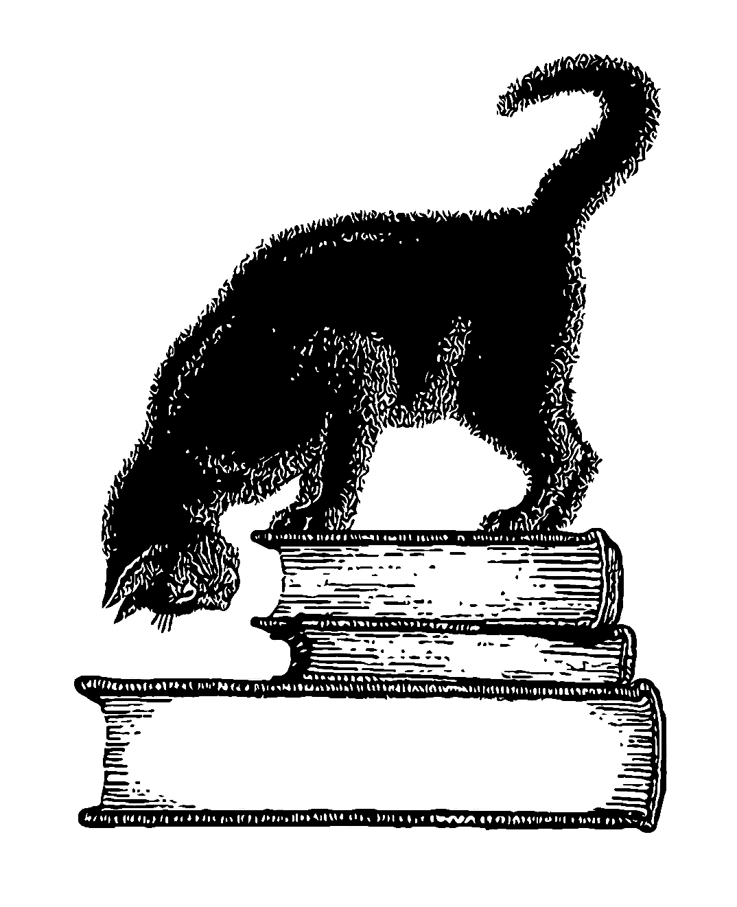 White and Brown Torn Photo Collage Your Story (1)